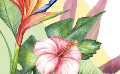 Health Hunter Blog