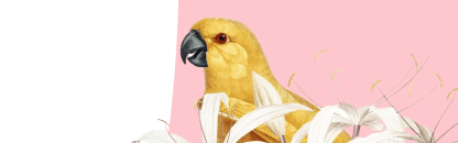 Health Hunter Blog